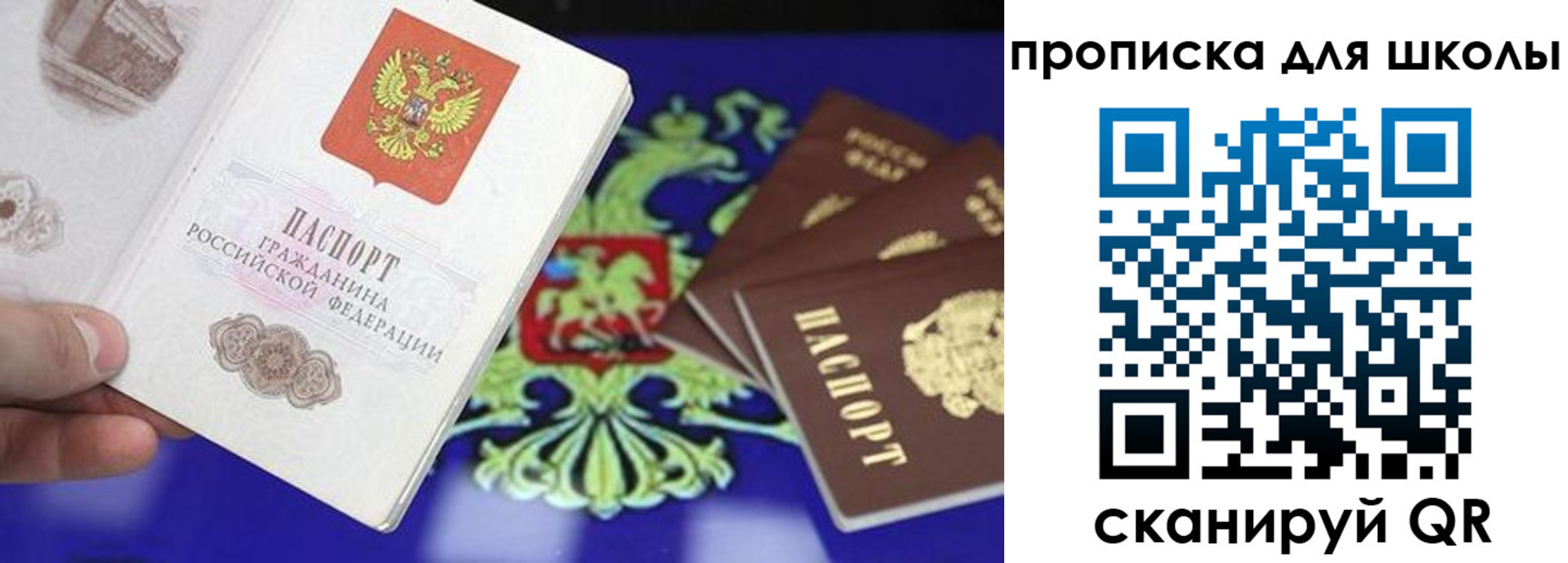 прописка в квартире в Лосино-Петровском